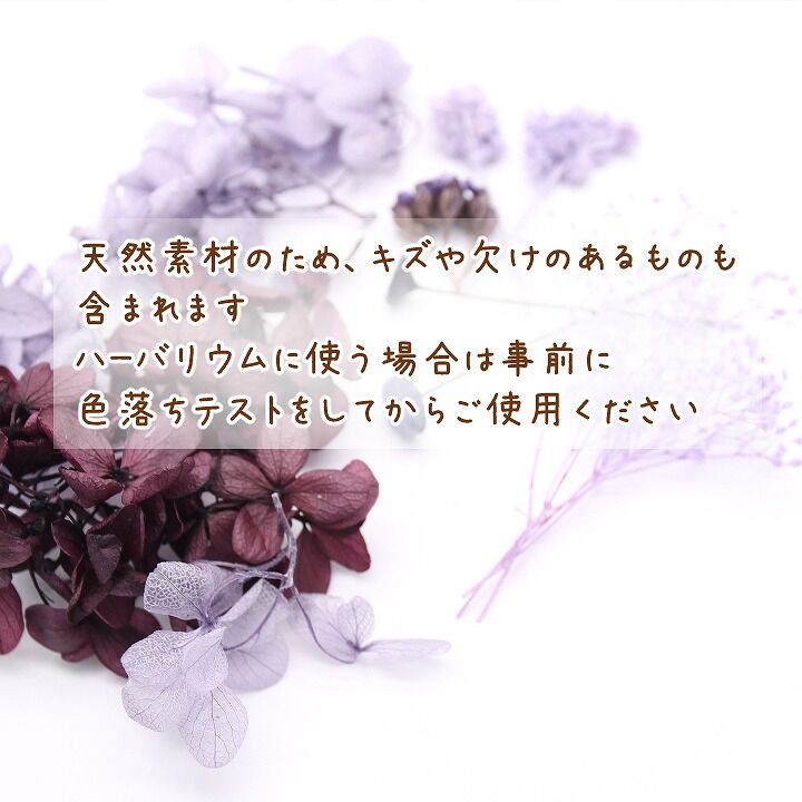 ハーバリウム花材 アメジストパープル花材セット 1ケース プリザーブド