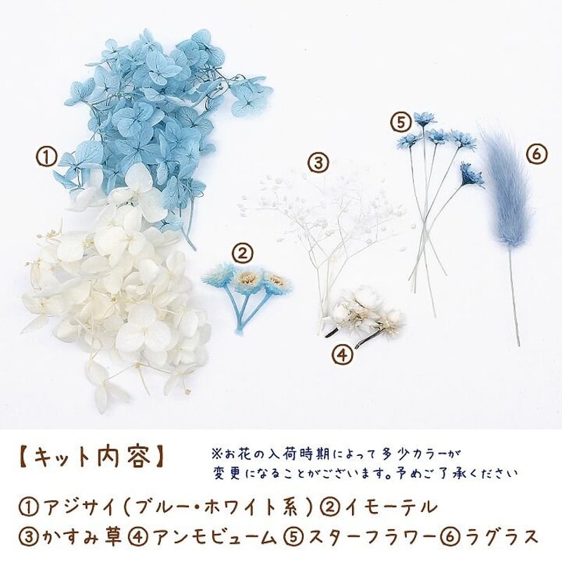 ハーバリウム花材 サムシングブルー花材セット 1ケース プリザーブド 