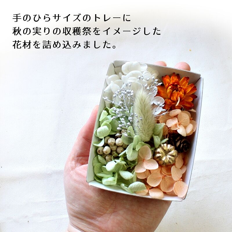値下げ大歓迎！破格！バーバリウム花材セット　プリザーブドフラワー　ハンドメイド 超特大ボックス】 カラフル 花材セット [ ハーバリウム