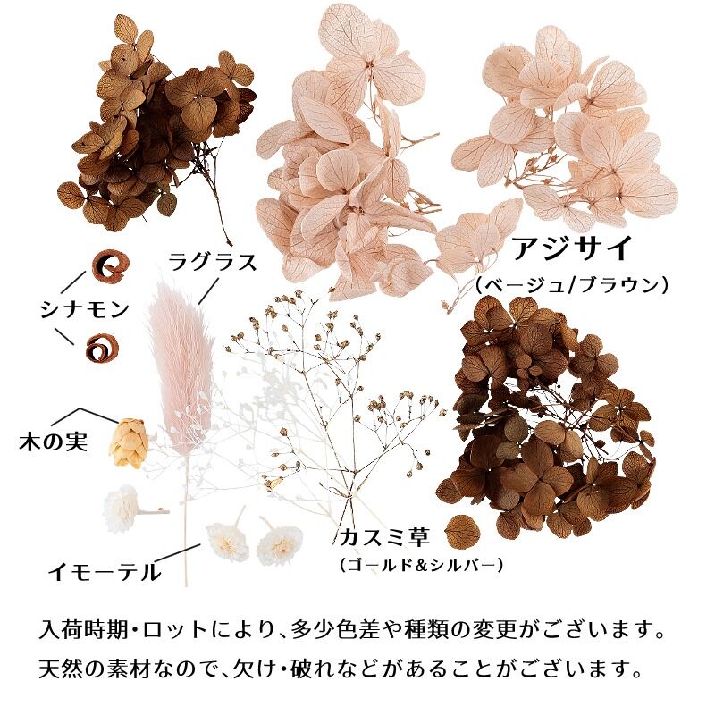 ドライフラワー✿︎花形かすみ草ミルクティー ドライフラワー✿︎花形かすみ草ミルクティー かすみ草 - ドライ