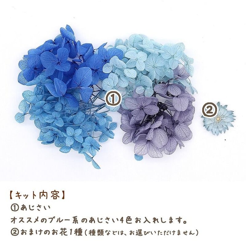 ハーバリウム花材 マーメイドブルー アジサイカルテット花材セット 1