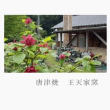 唐津焼 王天家窯