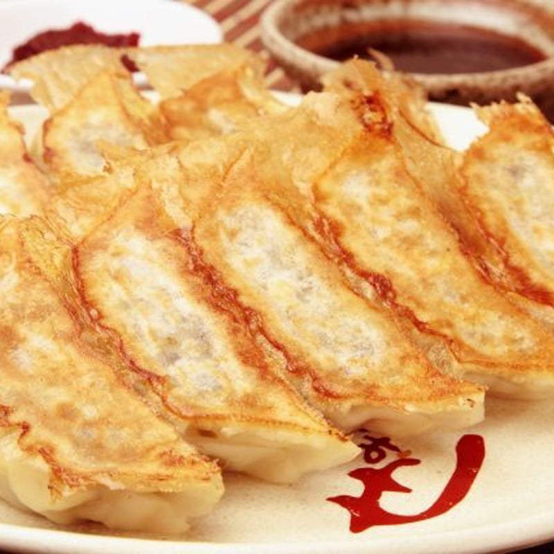 コラボ商品】餃子計画 特製冷凍生餃子(50個入り) | ヌードル