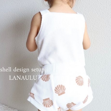 shell Design  setup
