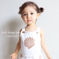 shell Design  setup