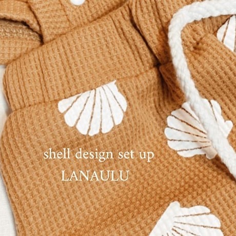 shell Design  setup