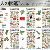 数量限定！大人の図鑑都道府県シリーズ九州編》コンプリート