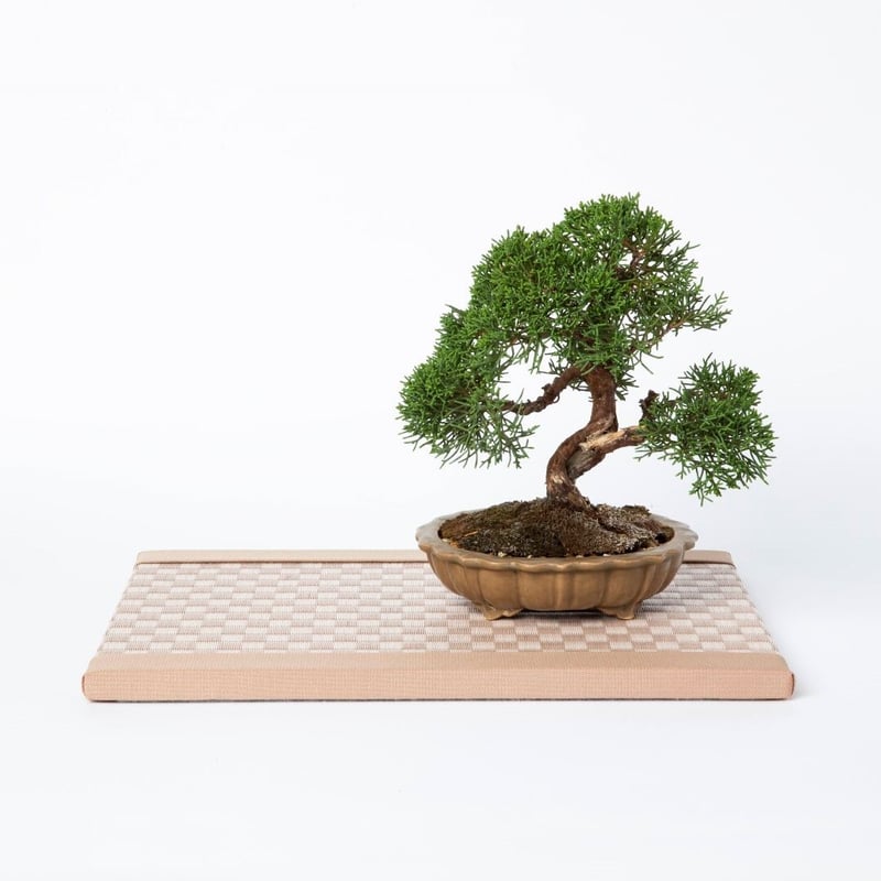 ミニ畳 Amazon | 畳工房大阪 ミニ畳(紺・市松)Tatami mat【Tmwinners