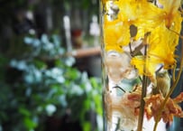 komatokamoオリジナル【ハーバリウム】