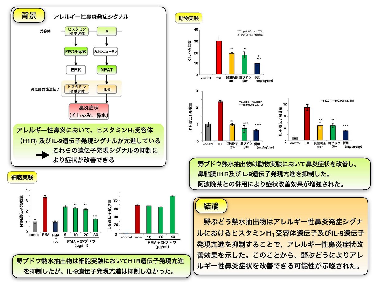 野ぶどうのめぐみ + 乳酸菌 サプリメント 90粒×2袋 Amazon | 野ぶどうのめぐみ＋乳酸菌 サプリメント・90錠 | Nab