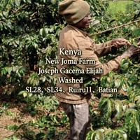 Kenya ニュージョマ SL28 SL34 Washed 100g ミディアムロースト