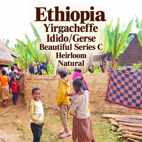 Ethiopia Beautiful Series 『C』 Heirloom Natural 豆のまま1kg(50%OFF) ミディアムロースト