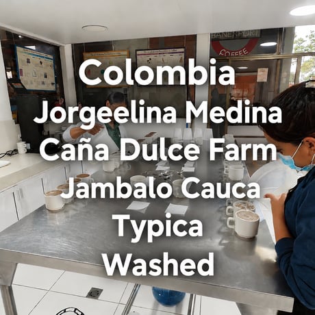 Colombia ホルヘリーナ・メディナ Washed 豆のまま１Kg (50％OFF) ライトロースト