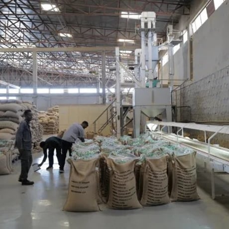 Ethiopia ウラガ Washed 100g ダークロースト