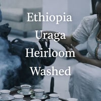 Ethiopia ウラガ Washed 豆のまま１Kg(50%OFF) ダークロースト