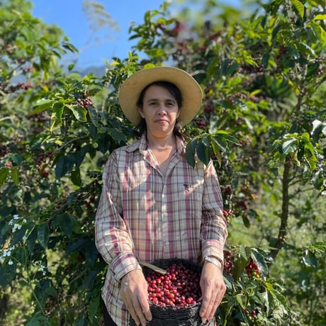 CATEGORY コーヒー豆リストへ | wonderful world coffee onl