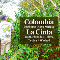 Colombia ラ・シンタ農園 Typica Washed 250g(20%OFF) ライトロースト