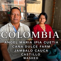 卸 Colombia アンヘル マリア Castillo Washed 豆のまま５Kg (55％OFF) ミディアムロースト