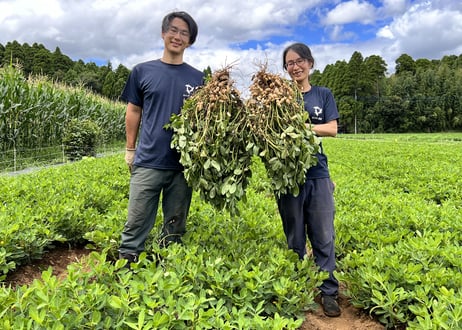 【９月出荷】あんばい農園の自然栽培 生落花生おおまさり　1kg