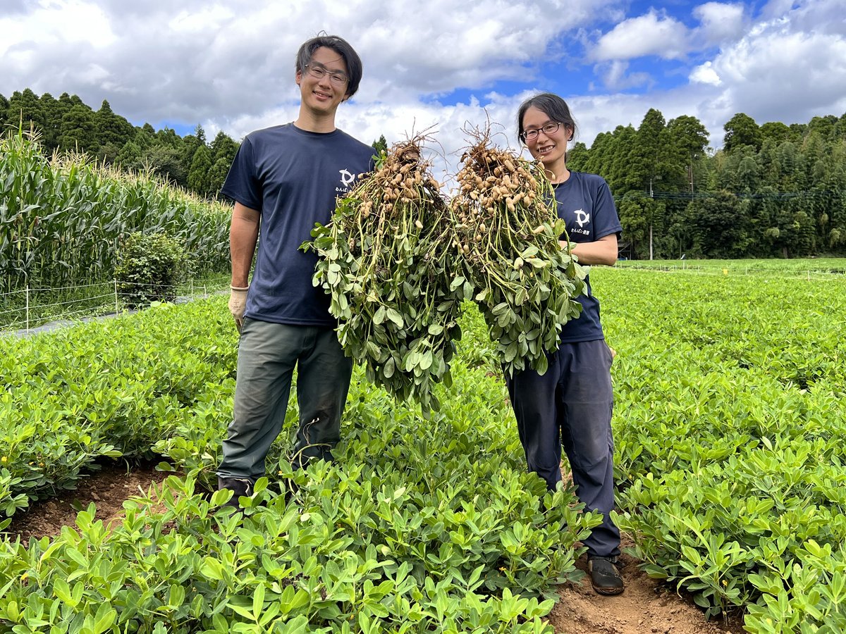 【９月出荷】あんばい農園の自然栽培 生落花生おおまさり　1kg