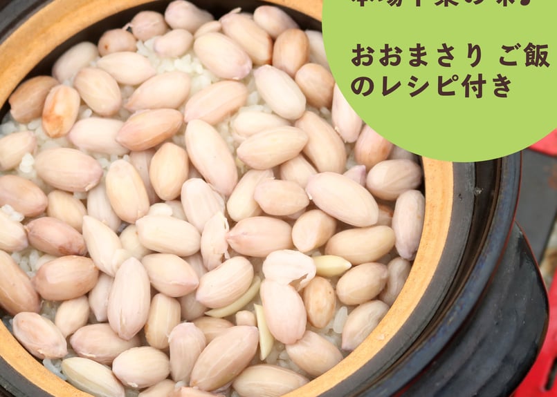 9月出荷】あんばい農園の自然栽培 生落花生おおまさり 1kg