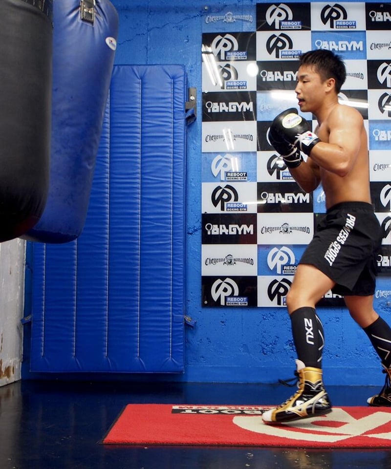 PROWESS N-LOGO Nylon Shorts | PROWESS SPORT