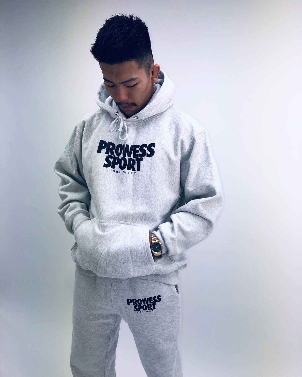 PROWESS BIG LOGO HOODIE 12oz (Ash gray) | PROWE...