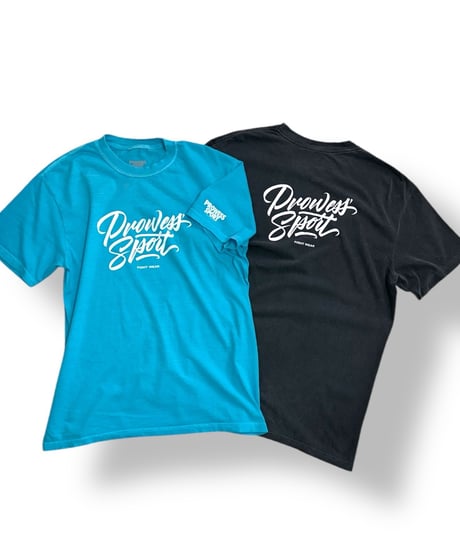 AZ-LOGO 01 COTTON100 T-shirts (Sky)