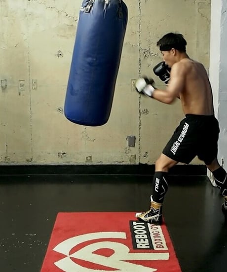PROWESS N-LOGO Nylon Shorts