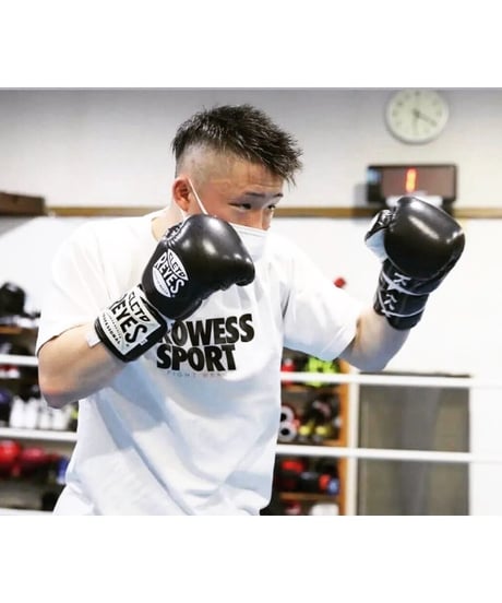 PROWESS SPORT BIG LOGO DRY T-shirt(White)kids〜adluts