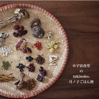 【冷凍全国発送】『定期便3ヶ月お届け』食養生月ノ子ごはん便・小宇宙食堂リンシエより