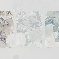 ［一般］5/6 土 13:00 ＠ スタジオHIKARI｜N₂ Tab.12 光害 ワーク・イン・プログレス