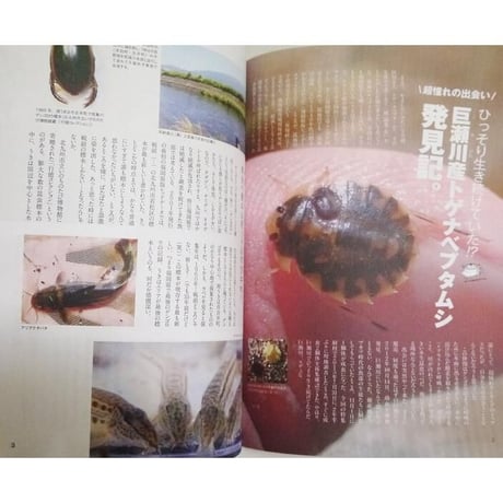 『ぎょぶる創刊号＆2号 合本号』