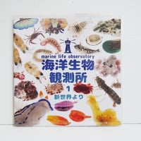 『海洋生物観測所 生態写真集』