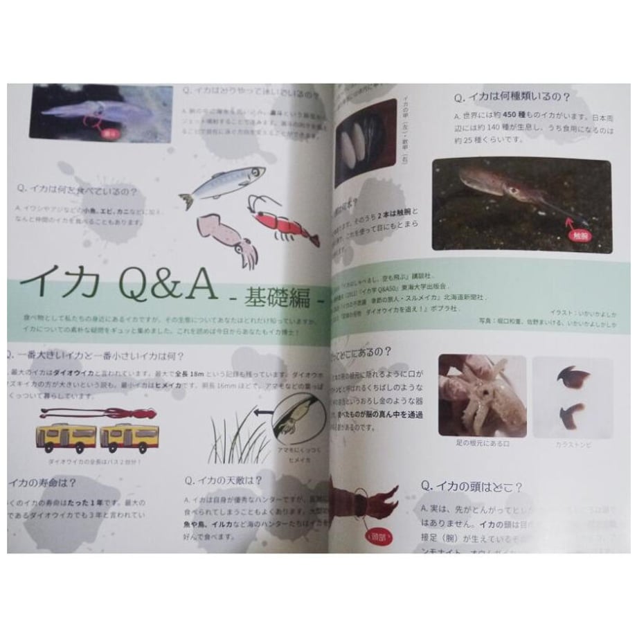 64f8edc3c99430002d8d4fec