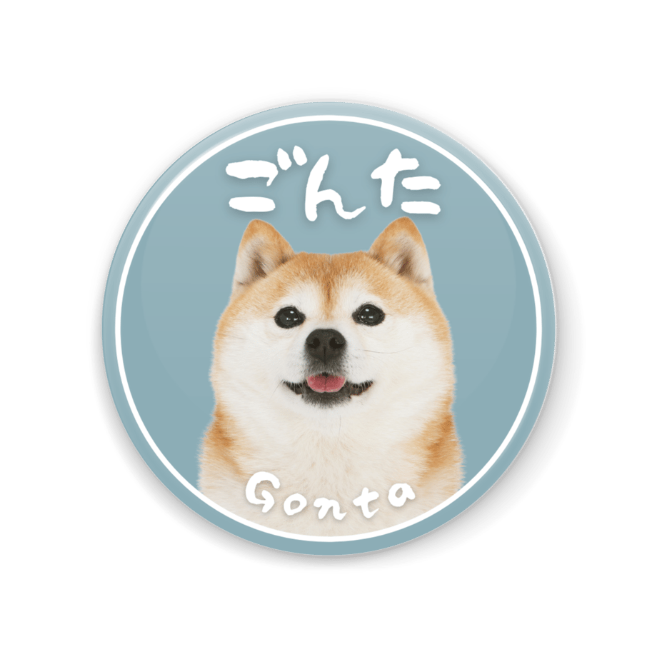 69fa073e3ee3fdc766846987