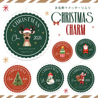 【クリスマスオーナメント（名入れキーホルダー）】サンタクロース / クリスマスツリー / 雪だるま / ケーキ