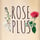 ROSE PLUS STORE