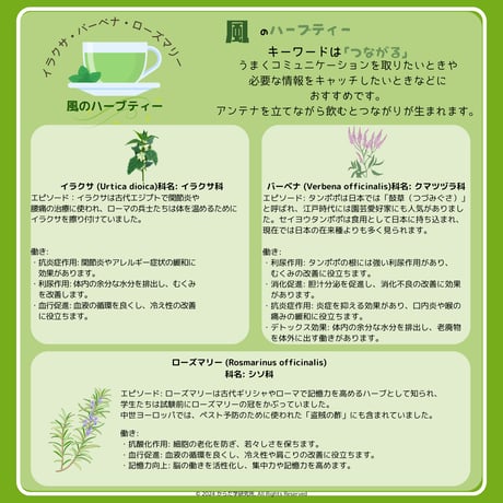 エレメントハーブティー（風）