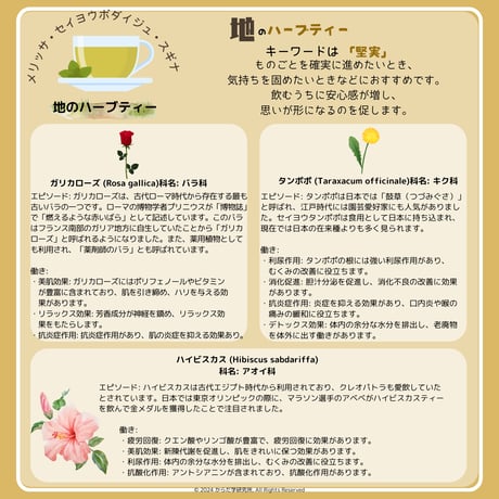エレメントハーブティー（地）