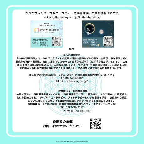 エレメントハーブティー（風）