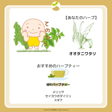 エレメントハーブティー（地）