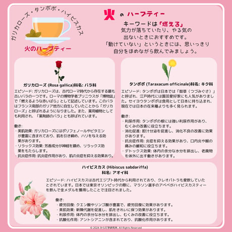 エレメントハーブティー（火）