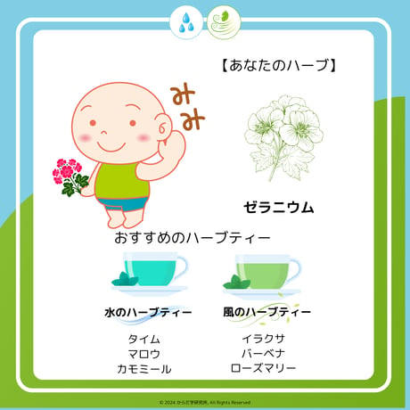 エレメントハーブティー（水）