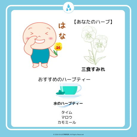 エレメントハーブティー（水）