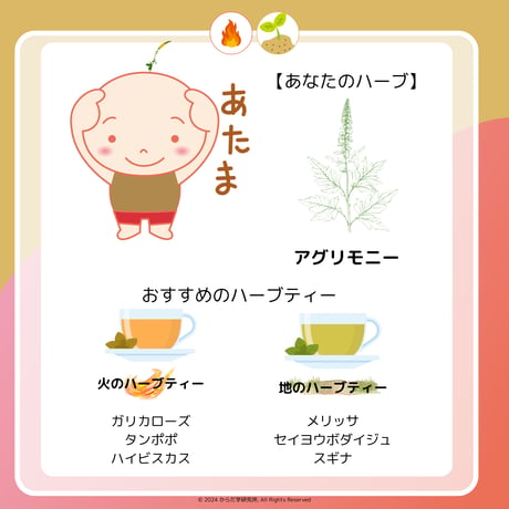 エレメントハーブティー（地）