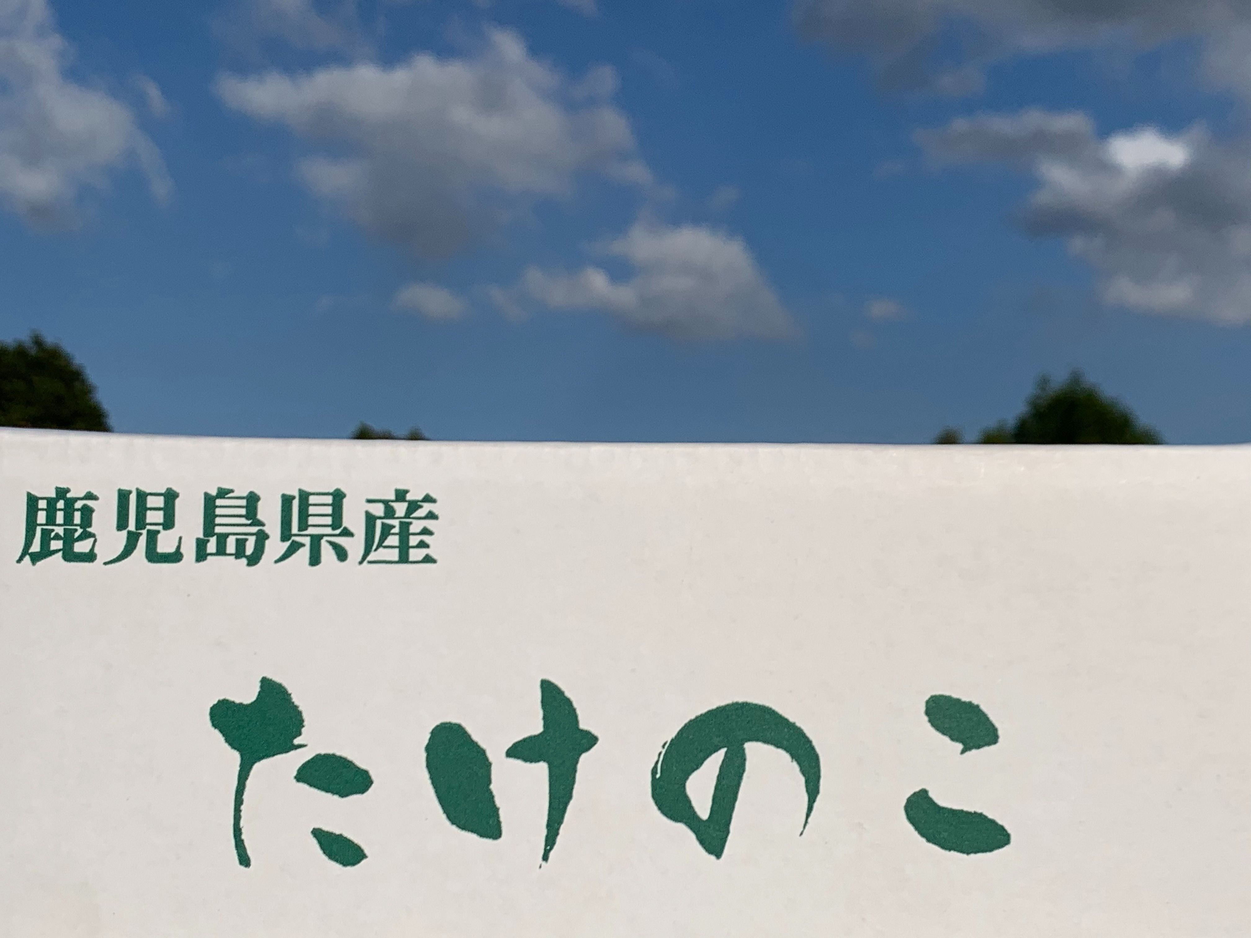 早掘り筍12月～2月「サイズ：大 ・ 300～400g/本 (1㎏)」 | 青嵐