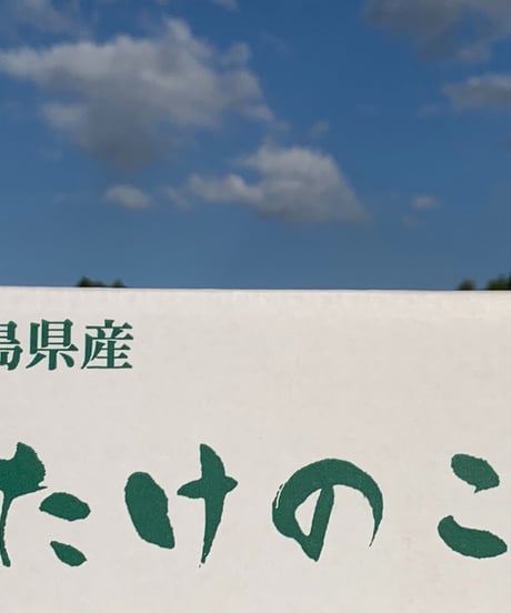 超早掘り筍：10月20～12月20「サイズ130～300ｇ/本　(1㎏)」 