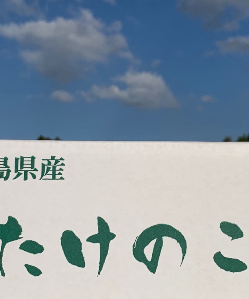 早掘り筍12月～2月「サイズ：特大 ・ 400～700g/本 (2㎏)」 | 青嵐