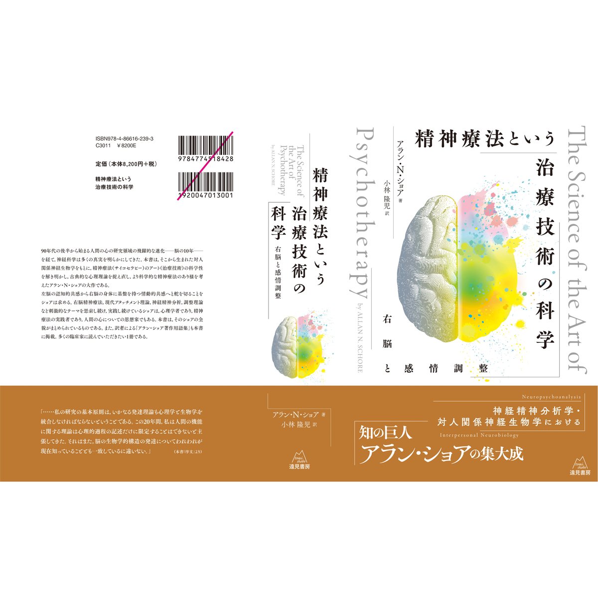 アラン・N・ショア著／小林隆児訳）精神療法という治療技術の科学